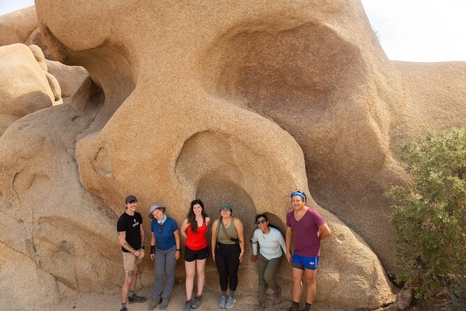 Joshua Tree Full Day Private Tour & Hike - A picnic lunch that earns its place