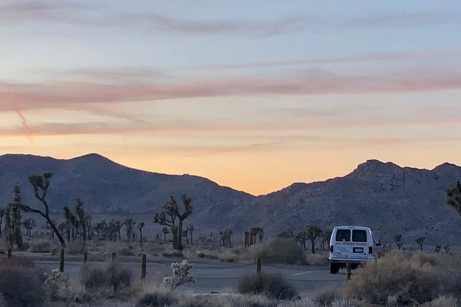 Joshua Tree National Park Driving Tour - A smart first look at Joshua Tree