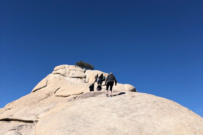 Joshua Tree National Park Driving Tour - Keys View and the high desert panorama