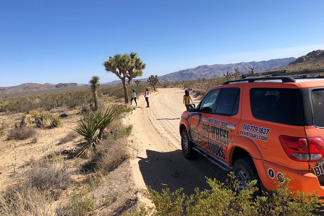 Joshua Tree National Park Offroad Tour - Why a 4x4 changes your Joshua Tree day
