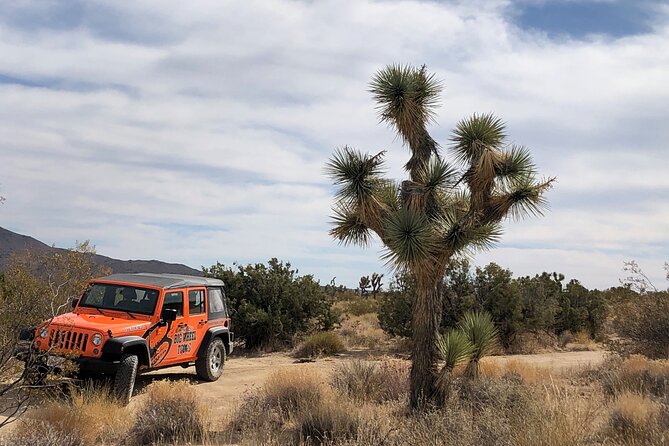Joshua Tree National Park Offroad Tour - The scenery: rocks, Joshua trees, and open Mojave space