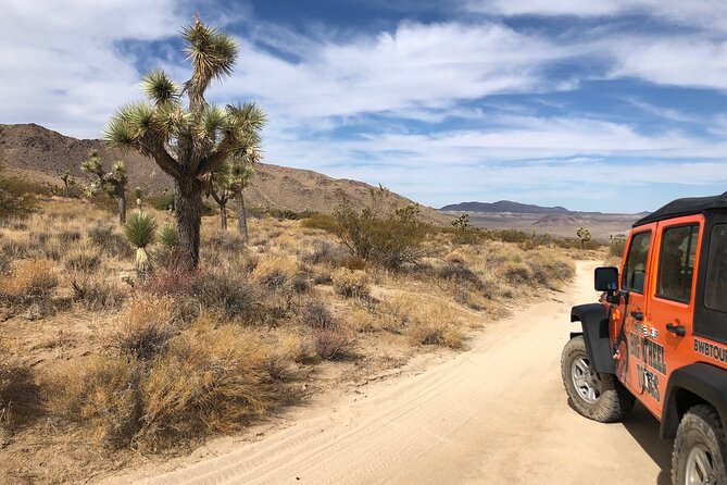 Joshua Tree National Park Offroad Tour - Comfort, snacks, and the practical side of desert touring