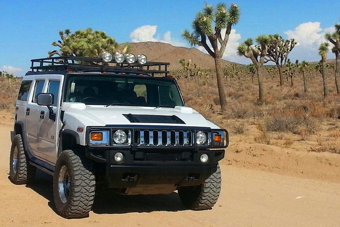 Joshua Tree National Park Scenic Tour - Why Joshua Tree is about rocks as much as trees