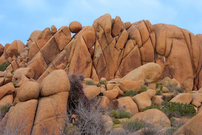 Joshua Tree National Park Scenic Tour - Joshua Tree National Park: a broad first look