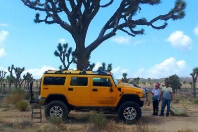 Joshua Tree National Park Scenic Tour