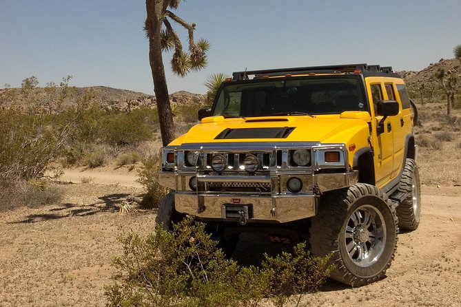 Joshua Tree National Park Scenic Tour - Intersection Rock and the park’s climbing culture