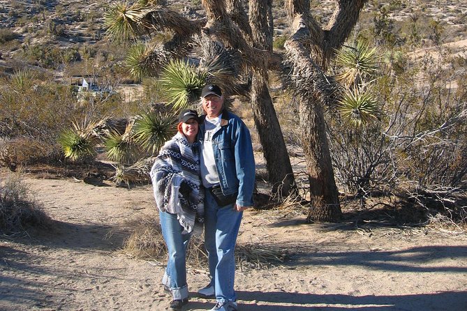 Joshua Tree National Park Scenic Tour - Barker Dam: water, petroglyphs, and cowboy history