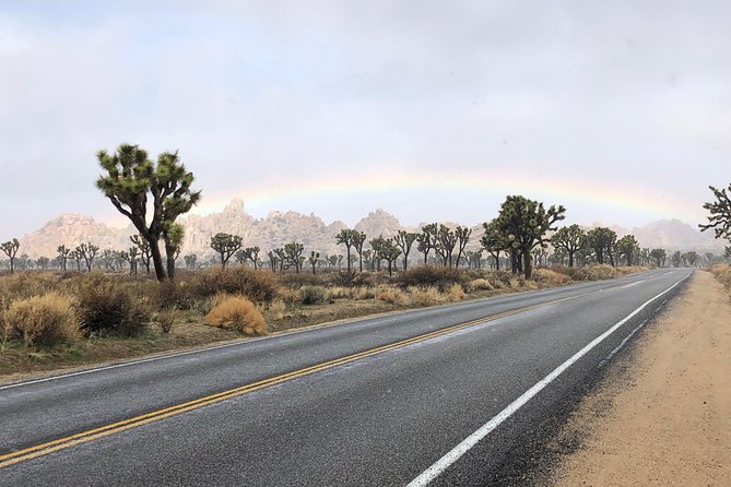 Joshua Tree National Park Scenic Tour - Keys View: the big finish above the San Andreas Fault