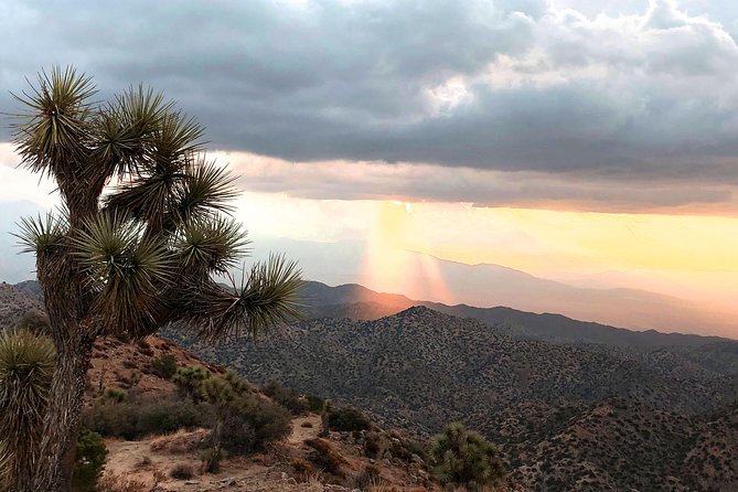 Joshua Tree National Park Scenic Tour - What the $159 price really buys you