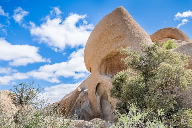 Joshua Tree National Park Self-Guided Audio Tour - Ryan Mountain, Hall of Horrors, and Cap Rock