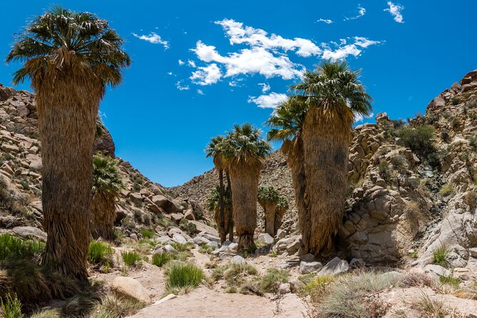 Joshua Tree National Park Self-Guided Audio Tour - Hidden Valley and the main western sights