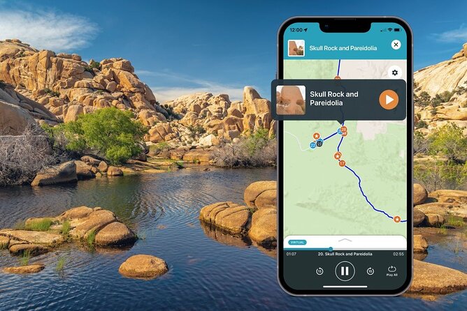 Joshua Tree National Park Self-Guided Audio Tour - Cholla Cactus Garden and the road north