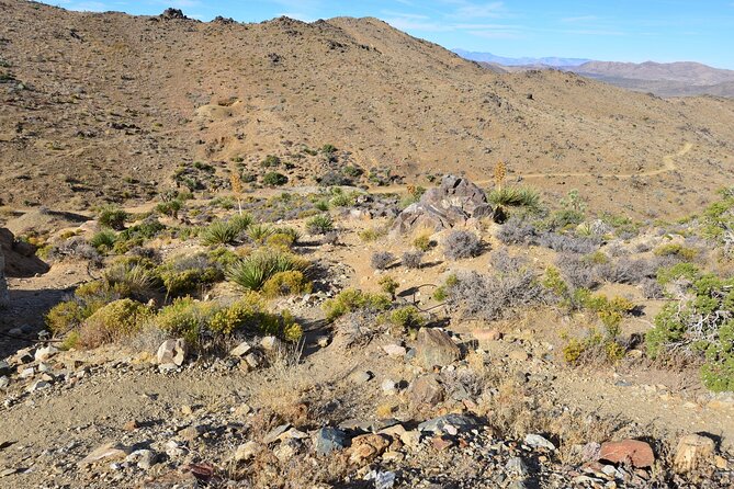 Joshua Tree National Park Self-Guided Driving Audio Tour - Intersection Rock and Cap Rock