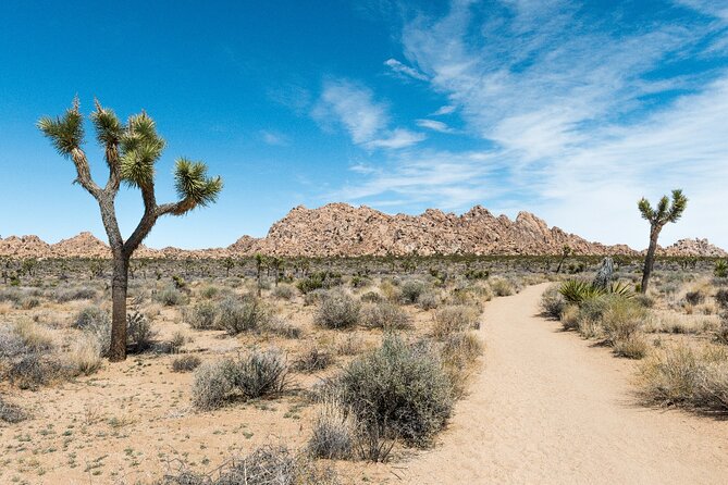 Joshua Tree National Park Self-Guided Driving Audio Tour - Skull Rock, Keys View, and open desert views