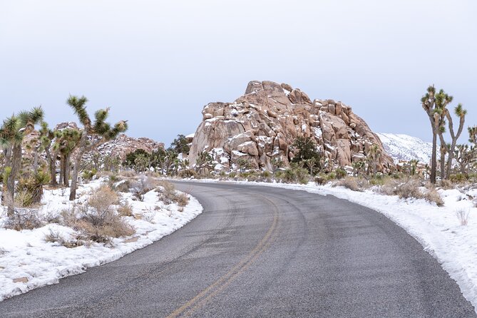 Joshua Tree National Park Self-Guided Driving Audio Tour - Stargazing near Sky’s the Limit