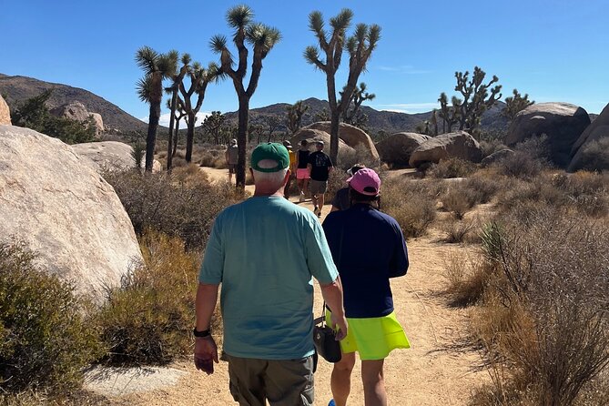Joshua Tree National Park Sightseeing Adventure Tour - Key points at a glance