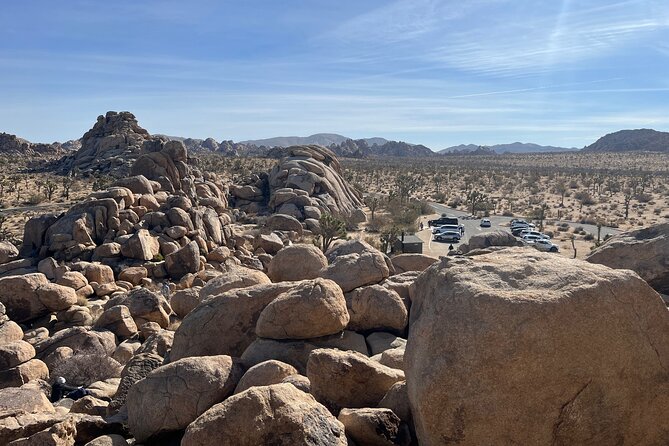 Joshua Tree National Park Sightseeing Adventure Tour - Why a short guided visit works in Joshua Tree
