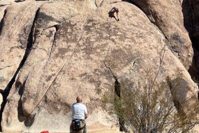 Joshua Tree National Park Sightseeing Adventure Tour