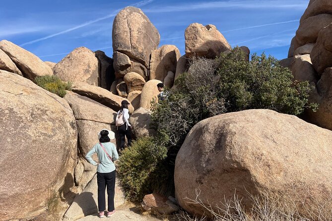 Joshua Tree National Park Sightseeing Adventure Tour - Keys View and the wide Coachella Valley panorama