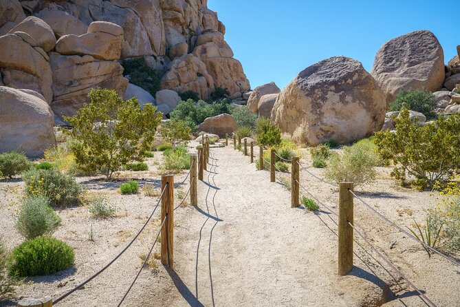 Joshua Tree's Hidden Valley Self-Guided Walking Tour - How much value do you get for $9.99?