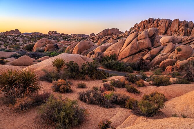 Joshua Tree's Hidden Valley Self-Guided Walking Tour - Choosing the right time for the walk