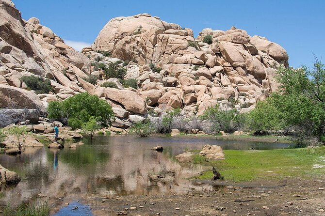 Journey into Joshua Tree On-Demand Audio Tour and Locals Guide - Key points to know before you go