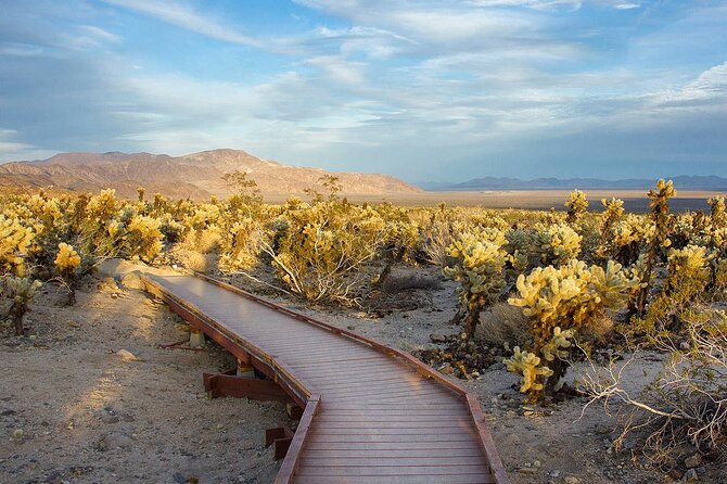 Journey into Joshua Tree On-Demand Audio Tour and Locals Guide - Keys View gives you the big desert panorama
