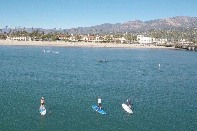 Kayak or Stand Up Paddle Board Rental - Looking for seals near the buoys