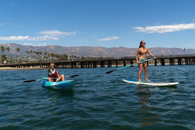 Kayak Tour of Santa Barbara with Experienced Guide - Wildlife without a zoo window