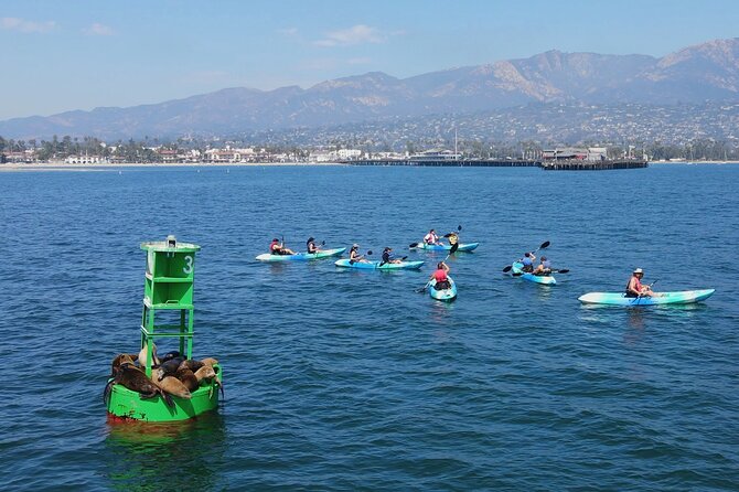Kayak Tour of Santa Barbara with Experienced Guide - How long is the tour, really?