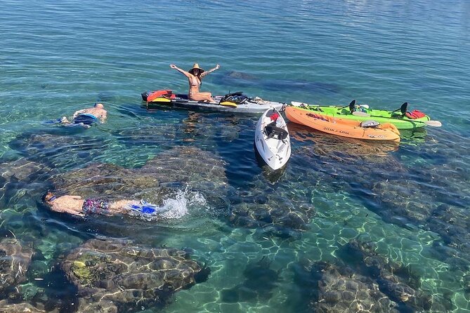Kayak with Sea Lions in a Calm, Beautiful, Redondo Beach Harbor - Why Redondo Beach Harbor works so well