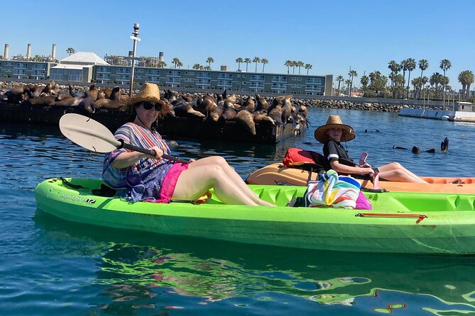 Kayak with Sea Lions in a Calm, Beautiful, Redondo Beach Harbor - Paddling toward the Redondo Beach Pier