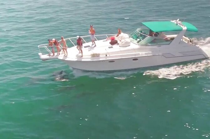 LA: Birthday Special Private Yacht (1 ticket covers 1-6 people) - Sunset, cake, and family celebrations