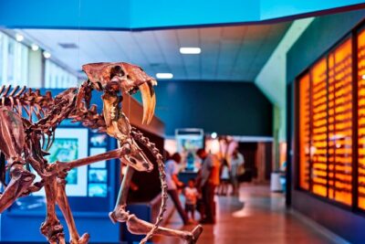 La Brea Tar Pits and Museum Admission Ticket with Excavator Tour