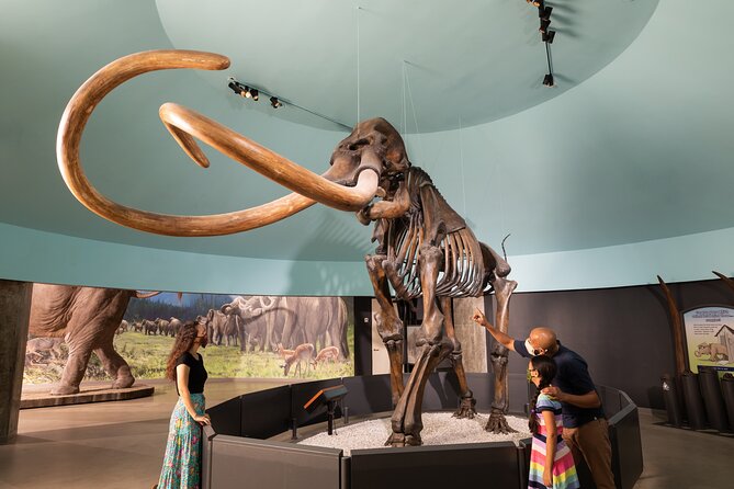 La Brea Tar Pits and Museum Admission Ticket with Excavator Tour - Project 23, Pit 91, and the value of active research