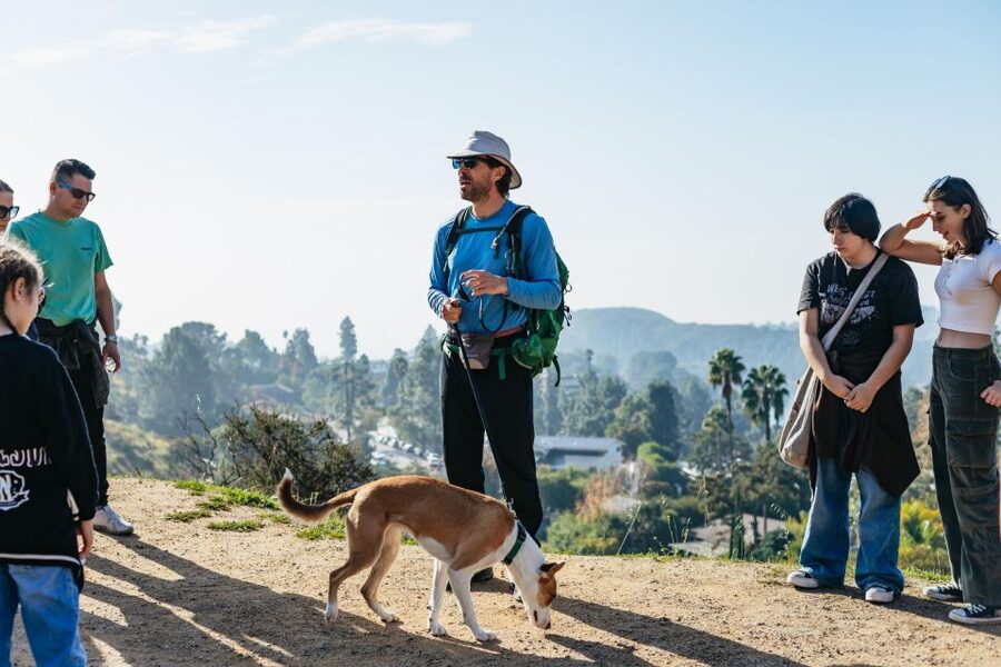 LA: Express Hollywood Sign Guided Walking Tour with Photos - The first glimpse and the Los Angeles panorama