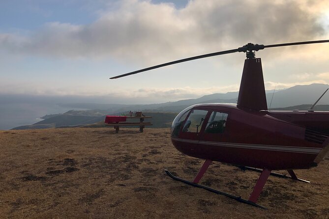 LA Helicopter Tour with Malibu Landing - The Hollywood sign, Sunset Boulevard, and Hollywood