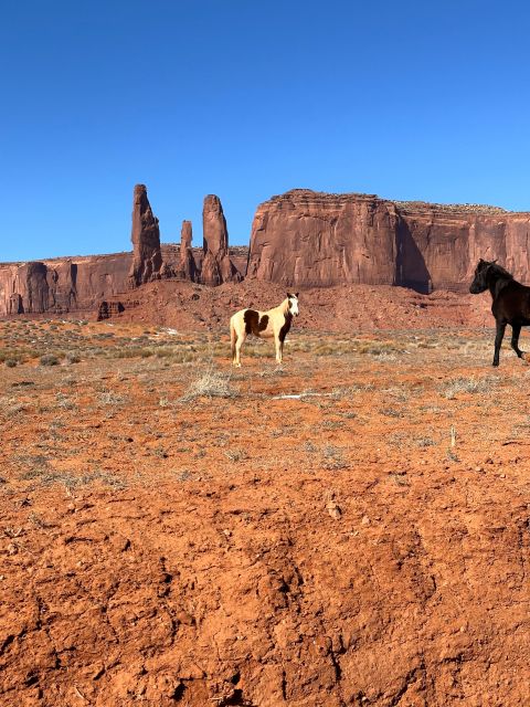 LA: San Francisco, Yosemite, Las Vegas, Antelope, 8-Day Tour - Day 6: Route 66, Sedona, and Oak Creek Canyon