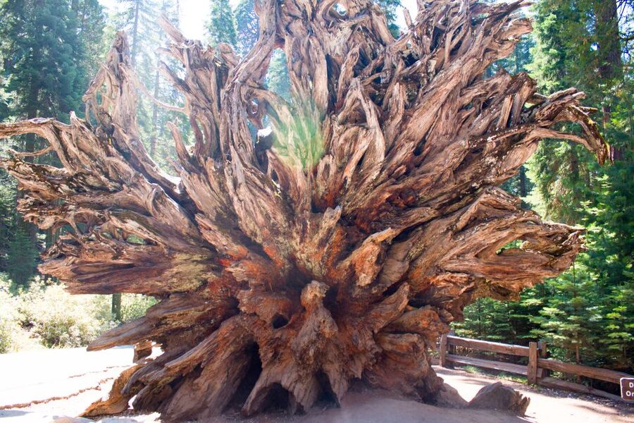 LA: San Francisco, Yosemite, Vegas, Grand Canyon 7-Day Tour - Day 7: Zion and the return to Los Angeles