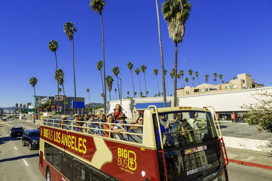 LA: TMZ Celebrity Tour & Big Bus 24-Hour Hop-on Hop-off Tour - Practical ways to make the day better