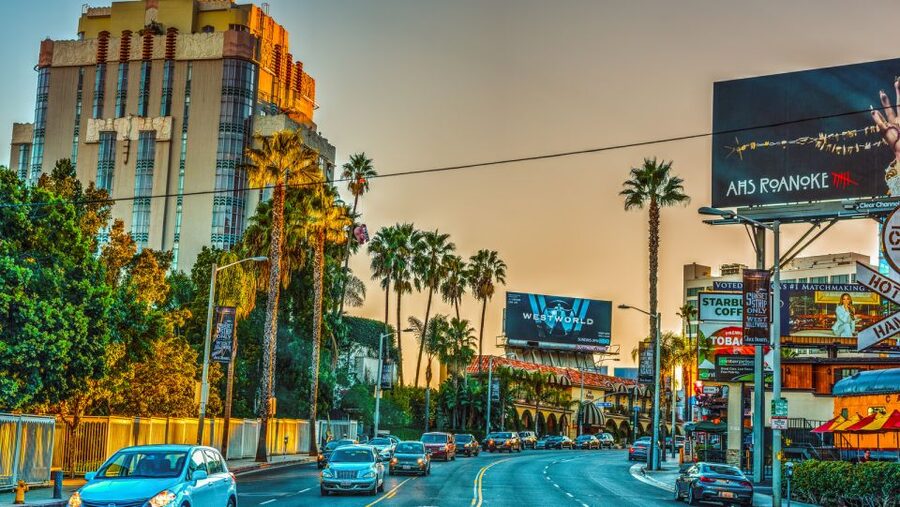 LA VIP Tour : Beverly Hills, Sunset Strip, & Hollywood Sign! - What the small van changes