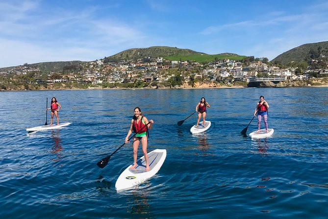 Laguna Beach Kayak Tour with Sea Lion Viewing - Seal Rock and the wildlife question