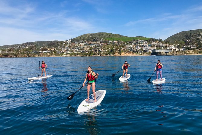 Laguna Beach Kayak Tour with Sea Lion Viewing - Who will enjoy this Laguna paddle