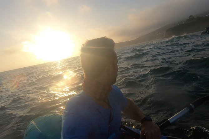 Laguna Beach Open Ocean Kayaking Tour with Sea Lion Sightings - Sea lions at Seal Rock and other wildlife