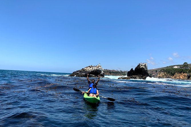 Laguna Beach Open Ocean Kayaking Tour with Sea Lion Sightings - The best reason to book