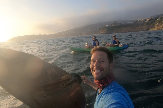 Laguna Beach Open Ocean Kayaking Tour with Sea Lion Sightings - Kelp forests, reefs, and coves along the preserve
