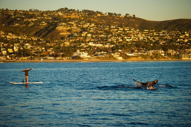 Laguna Beach SUP Lesson and Tour - Moving from kneeling to standing on the Pacific