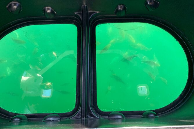 Long Beach Glass Bottom Boat Eco-Tour - What the Long Beach glass-bottom boat actually offers