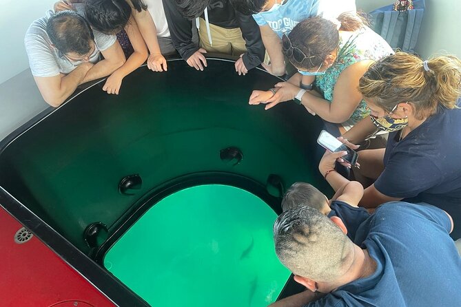 Long Beach Glass Bottom Boat Eco-Tour - The Queen Mary from the water
