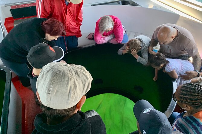 Long Beach Glass Bottom Boat Eco-Tour - How much wildlife should you expect?